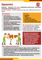 Осторожно, бруцеллез! Осторожно, бруцеллез!.